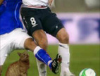 Speel-van-die-verskille-van-die-sokker-spelers
