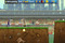 Epic-fotbal